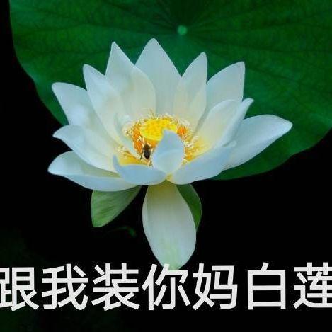 网红忘川吃瓜,揭秘娱乐圈背后的秘密与真相 网红忘川吃瓜,揭秘娱乐圈背后的秘密与真相