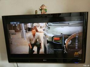 国产c视频 国产c视频